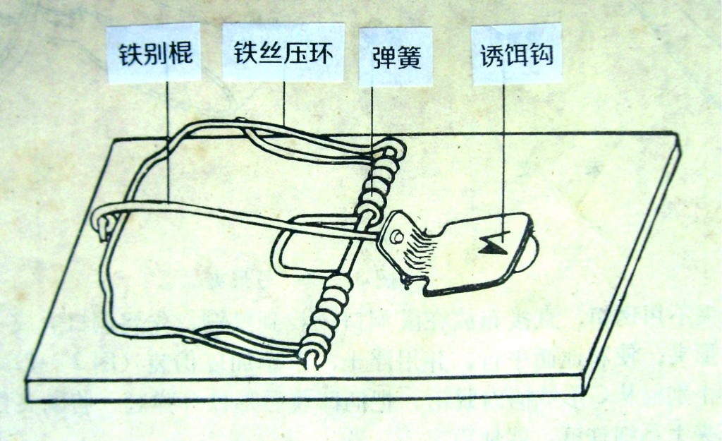 图2 鼠夹的各部分名称